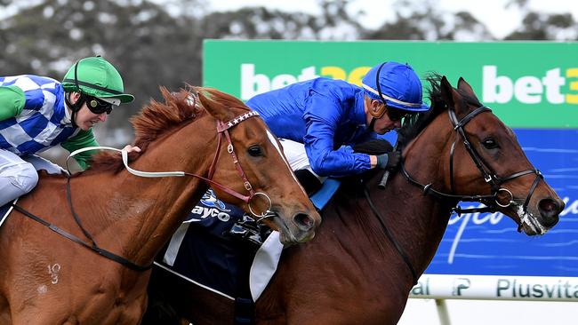 Qewy has firmed for the Melbourne Cup after winner the Bendigo Cup. Picture: AAP