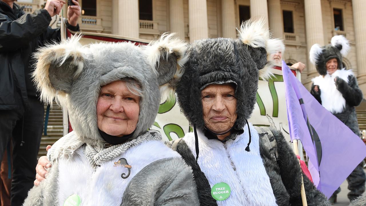 The rally formed part of a weeks-long campaign by the Bob Brown Foundation. Picture: NCA NewsWire / Josie Hayden