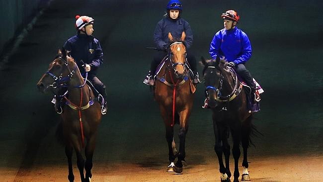  Tommy Berry, right, rides Fiorente under the tunnel and on to the track at Flemington. Picture: Mark Evans 