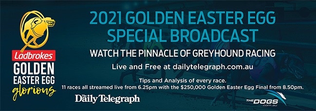 Watch the live action of greyhound racing's Golden Easter Egg at dailytelegraph.com.au.