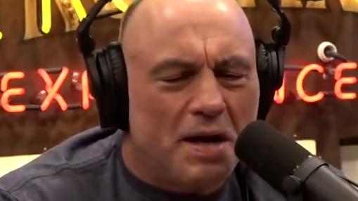 Picture: X/The Joe Rogan Experience