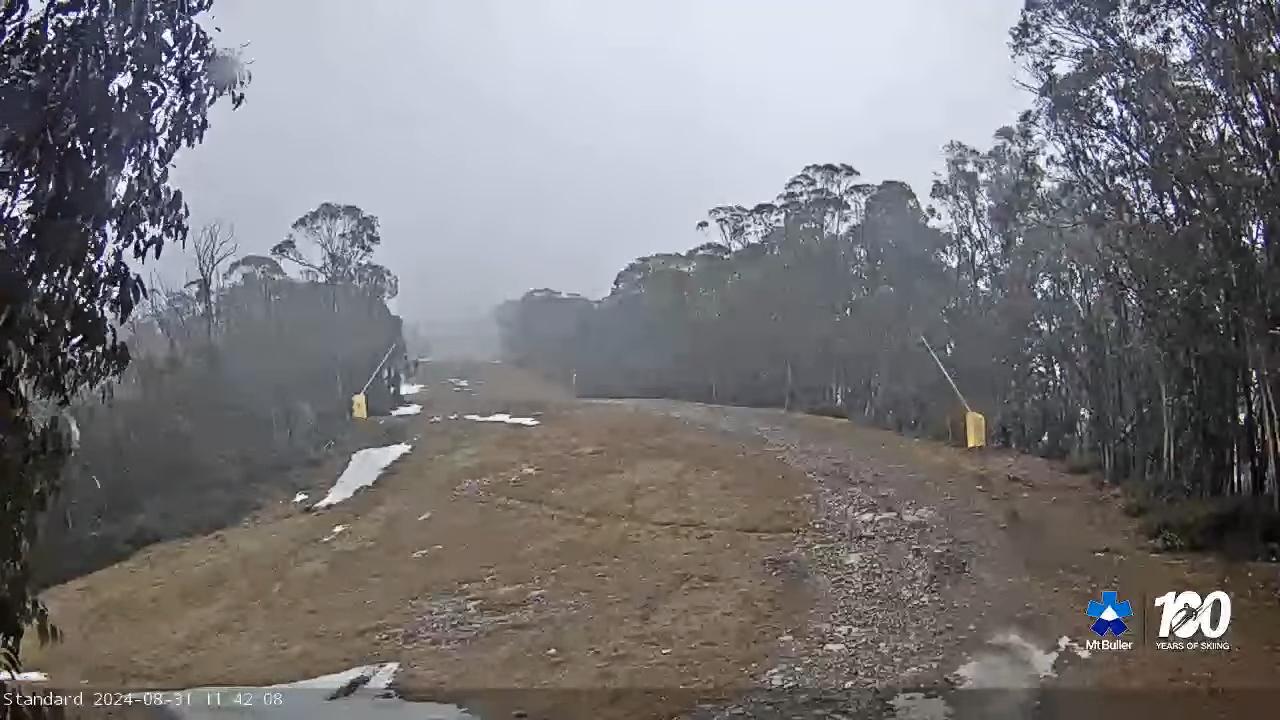 Mount Buller's livestreams show snow missing across the resort. This is the intermediate run Standard.