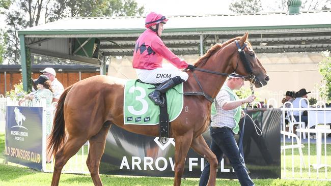 Top jockey Ash Morgan can get punters off on the right note aboard King Soleil at Taree on Monday. Photo: Bradley Photos.