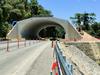 ‘What were they thinking?’: Steep cassowary bridge sparks outrage