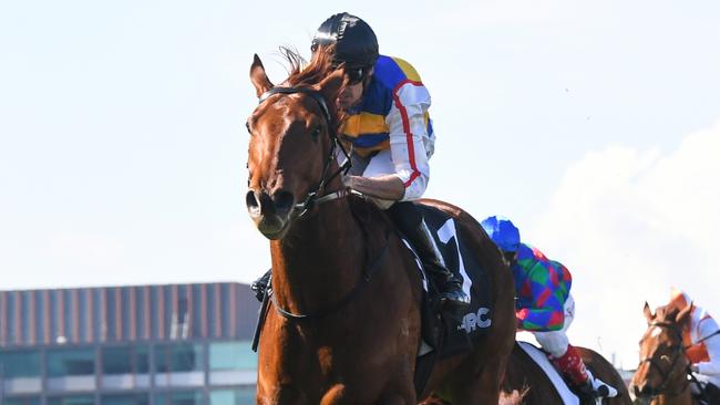 Jimmy The Bear heads to Caulfield on Saturday after winning the Mildura Cup last week. Picture: Pat Scala/Racing Photos via Getty Images)