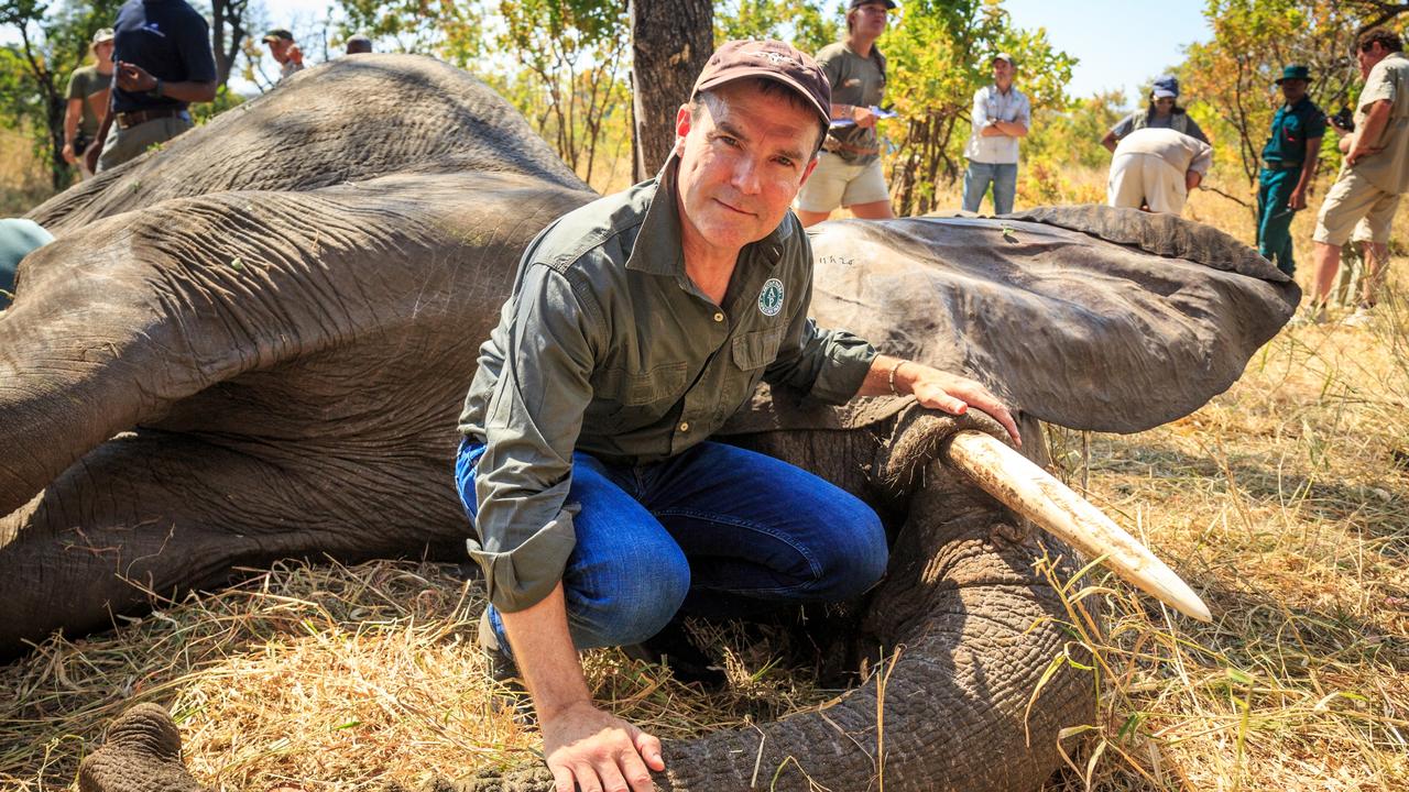 John Scanlon on wildlife, poaching and pandemics | The Advertiser