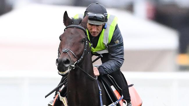 Damien Oliver’s Caulfield Cup mount Mustajeer drew 16 in the big race. Picture: Getty Images