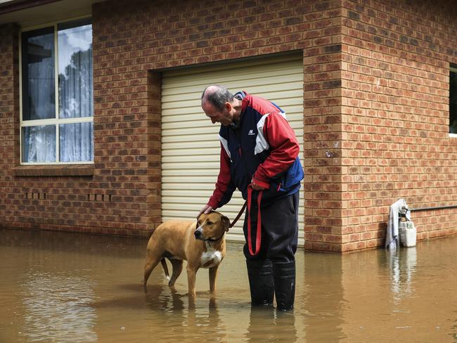 Garry Hodge and his dog Lou Lou wade through flood water in their front yard in Forbes. Picture: Dylan Robinson