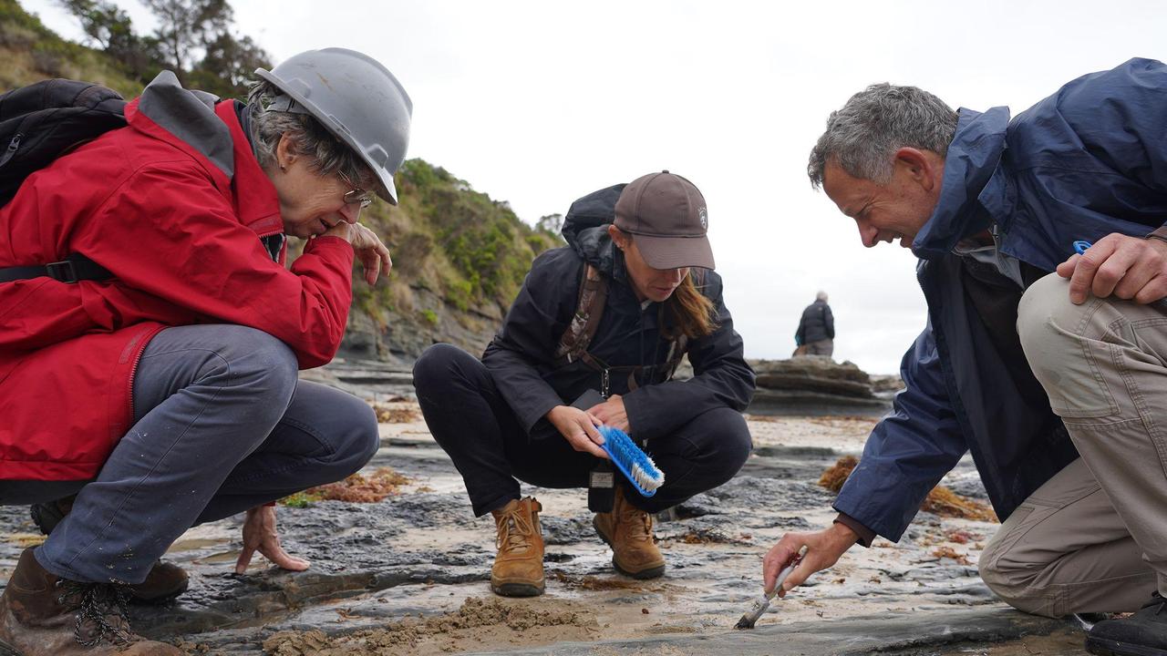 Palaeontologist Patricia Vickers-Rich, Melissa Lowery and footprint caster Peter Swinkels. Picture: Museums Victoria