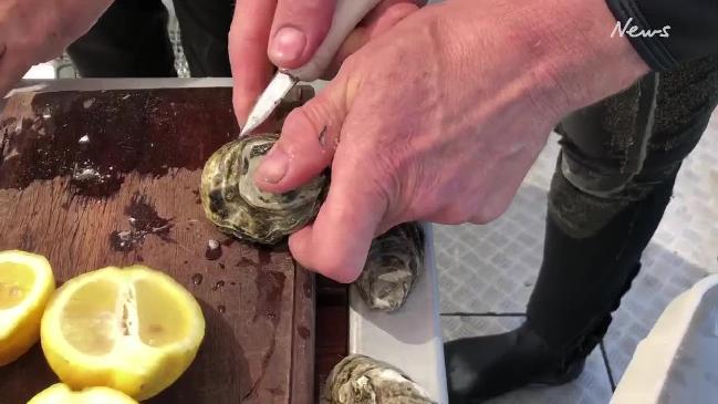 Chris Hank from Pure Coffin Bay Oysters explains why his farm is perfect and how to shuck an oyster.