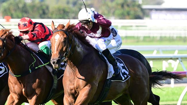 Former Hong Kong galloper Midori Beauty winning its first start for Matt Dunn at Doomben. Picture: Grant Peters/Trackside Photography