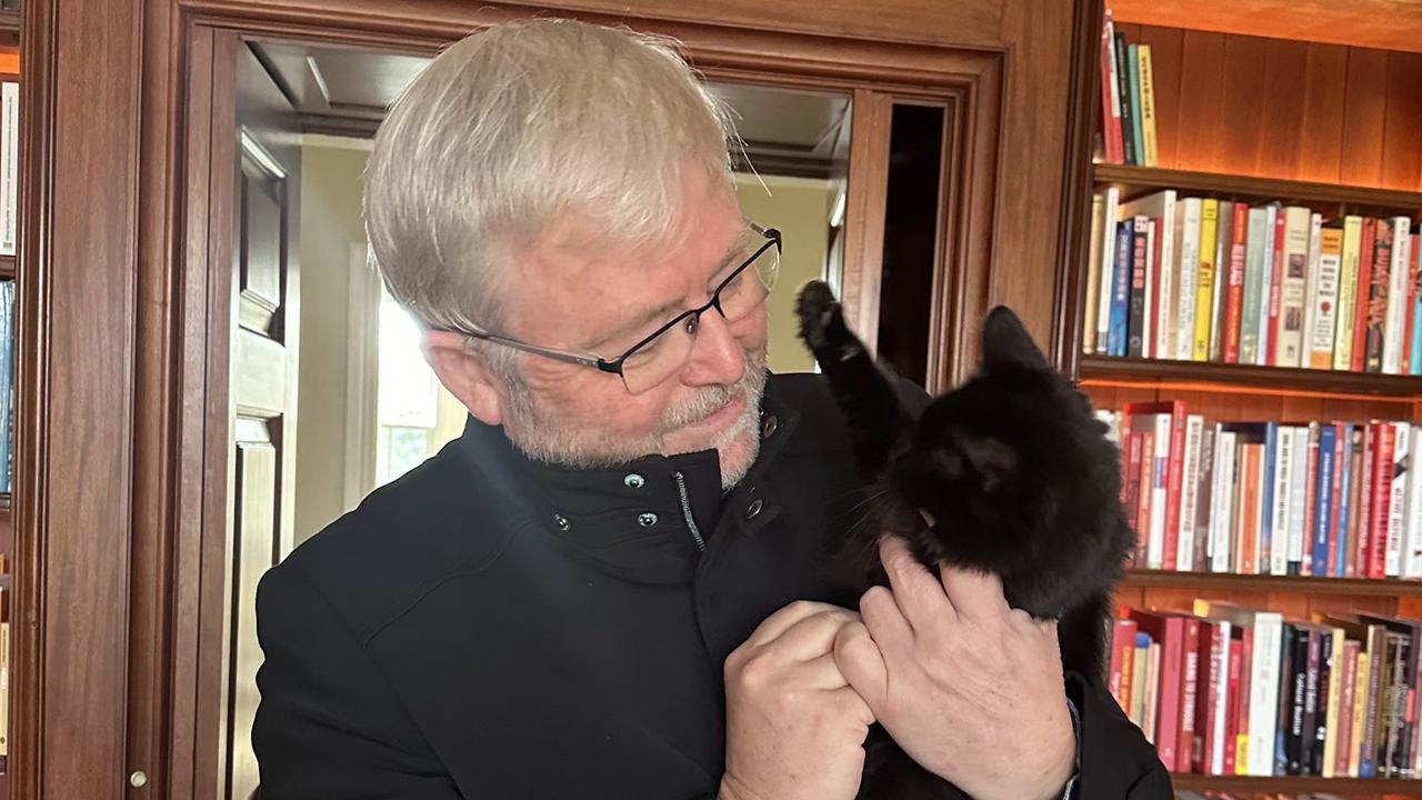 Ambassador of Australia to the United States Kevin Rudd with his new cat, Possum.