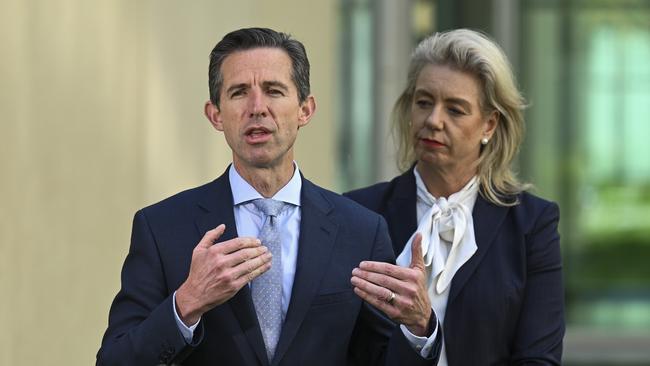 Senator Simon Birmingham and Senator Bridget McKenzie have vowed to bring Alan Joyce and Catherine King before the committee. Picture: NCA NewsWire / Martin Ollman