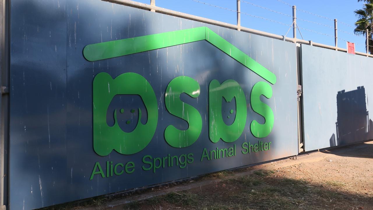 The gates to the Alice Springs Animal Shelter which went into administration in July. Picture: Gera Kazakov