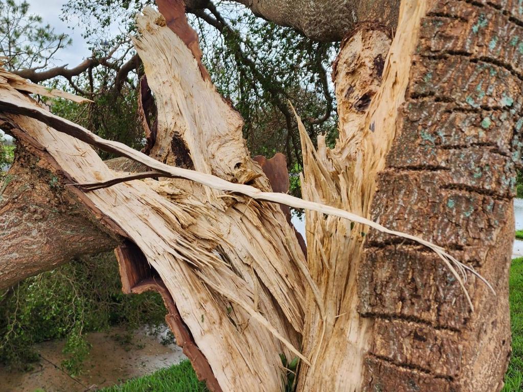 An Australian living on the edge of Hurricane Ian’s “ground zero” in Florida, John Mageropoulos, has told of his lucky escape. Picture: John Mageropoulos/Supplied