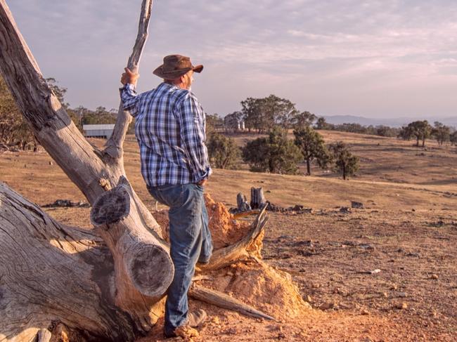 Senior farmer looking over the drought stricken land, during summer and fire season.