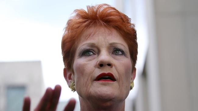 One Nation Leader Senator Pauline Hanson brought the motion. Picture: Gary Ramage