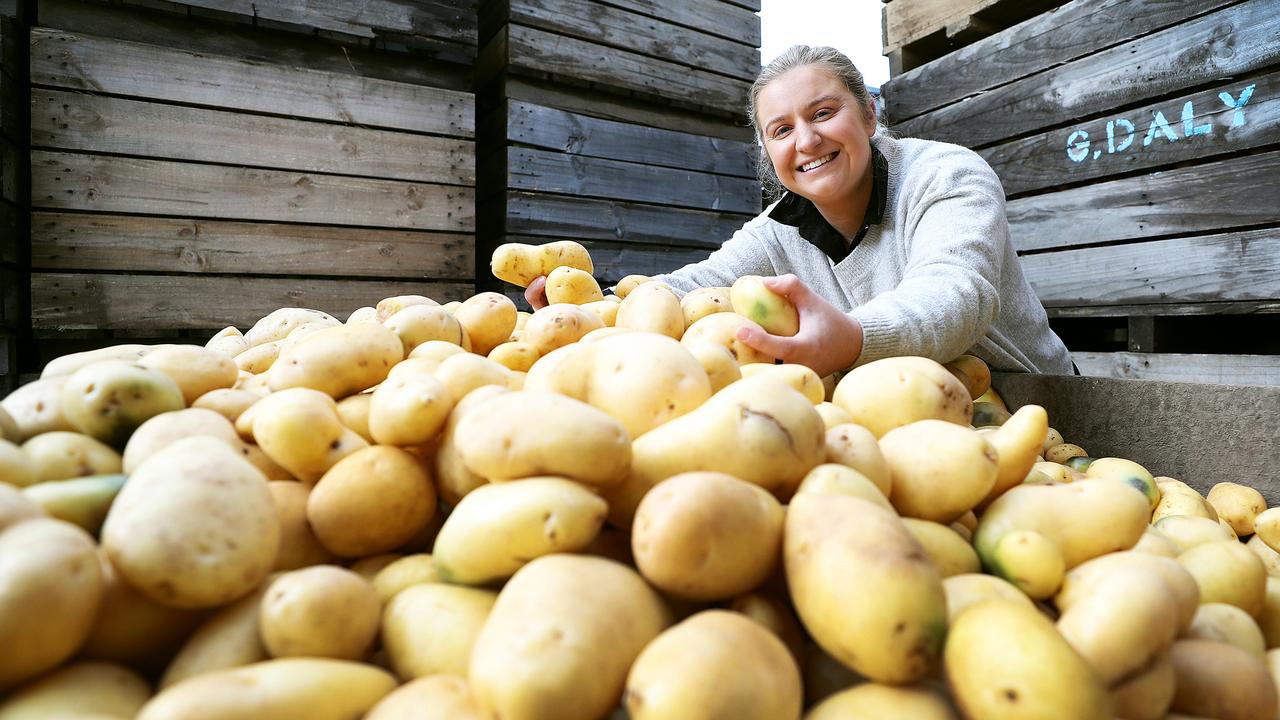 Daly Potato Company is owned by Pure Foods Tasmania. Picture: SAM ROSEWARNE.