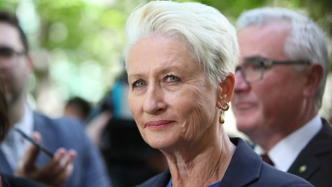 Kerryn Phelps will back a Conservation Foundation push to target three marginal seats at the next federal election. Picture: Kym Smith.