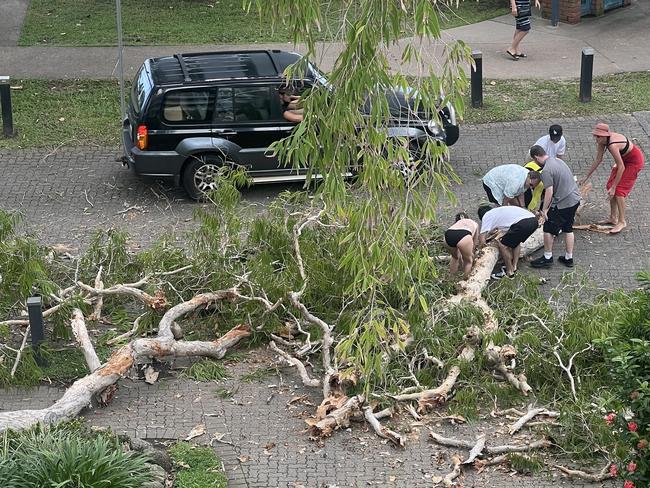 Residents are seen clearing up fallen tree branches after they fell in Palm Cove. Picture: Supplied.