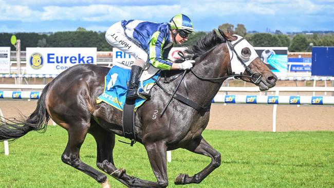 Togetherforever wins at Ballarat on Wednesday, one of three winners for trainer Michael Hickmorr. Picture: Reg Ryan/Racing Photos