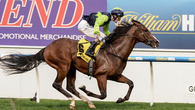 Doubt I'm Dreaming ridden by Jamie Mott wins the Ascend Sales Valley Pearl at Moonee Valley Racecourse on March 24, 2017 in Moonee Ponds, Australia. (Sarah Ebbett/Racing Photos via Getty Images)