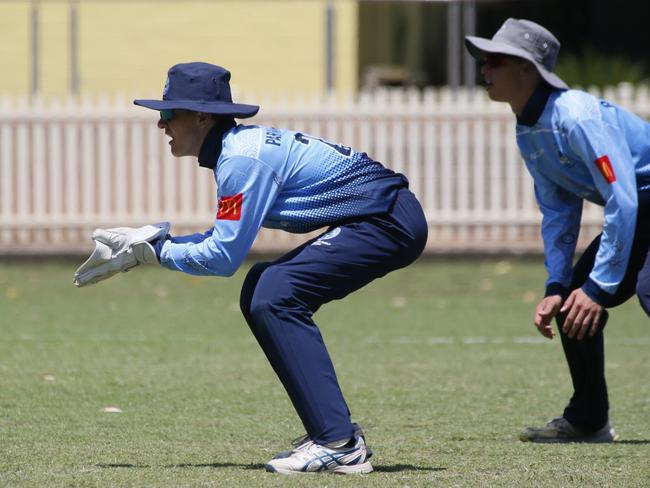 Charlie Akle keeping at Chatswood Oval last season. Photo by Warren Gannon Photography.