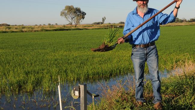 Scott Williams Murrami Rice grower Fiona Myers