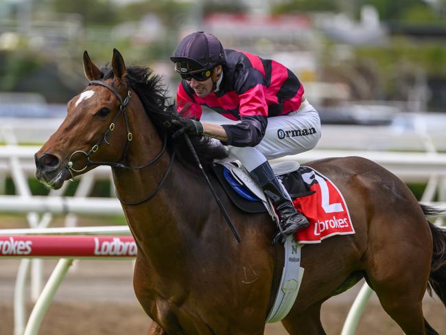 James Orman aboard I Am Artie for trainer Paul Jenkins. Picture: Racing Queensland.