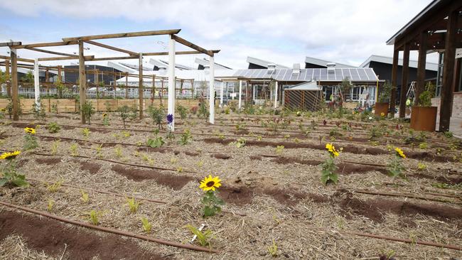 Flowers are already blooming on the Brickworks roof. Picture: David Caird