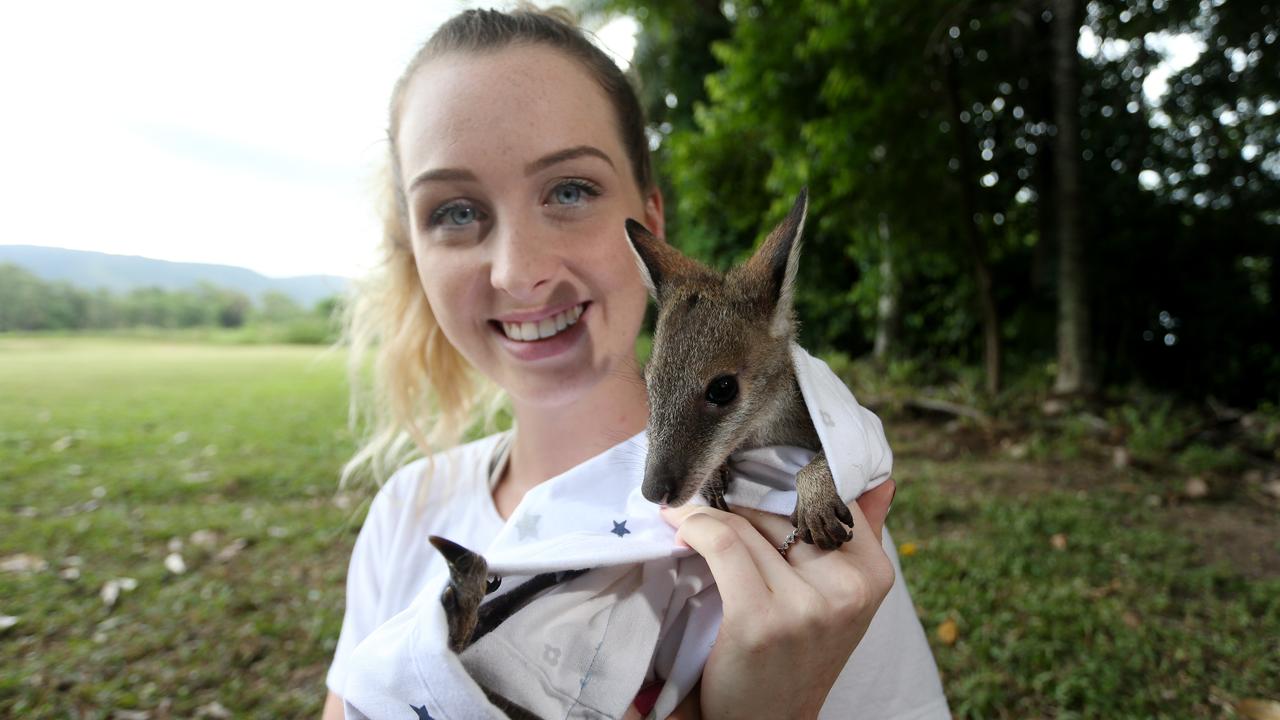 Agile Project provides evidence of wallaby attacks during QCAT ...