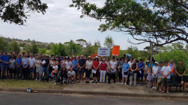 Residents protested the cycleway route last year