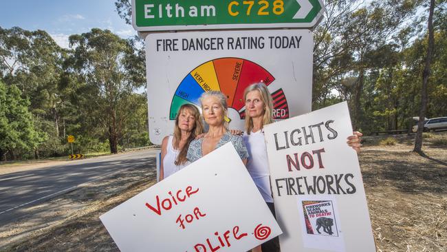 Sharon Murdoch, Jan Saunders and Mel Ellis were concerned about the impact of fireworks on wildlife.