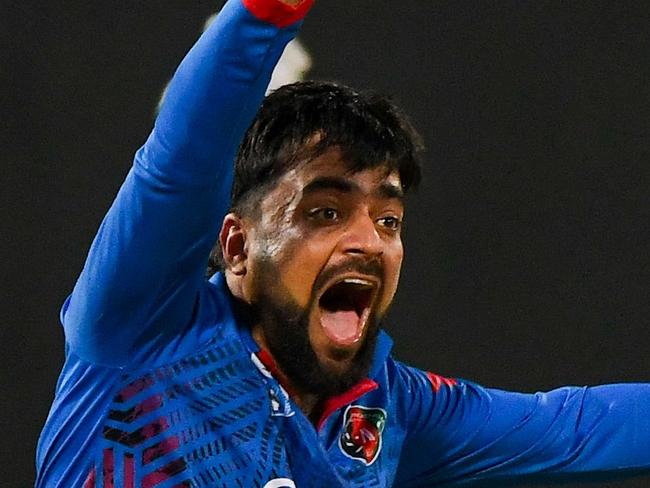 Afghanistan's Rashid Khan appeals for leg before wicket (LBW) against Pakistan's Agha Salman (not pictured) during the third and final one-day international (ODI) cricket match between Pakistan and Afghanistan at the R. Premadasa Stadium in Colombo on August 26, 2023. (Photo by Ishara S. KODIKARA / AFP)