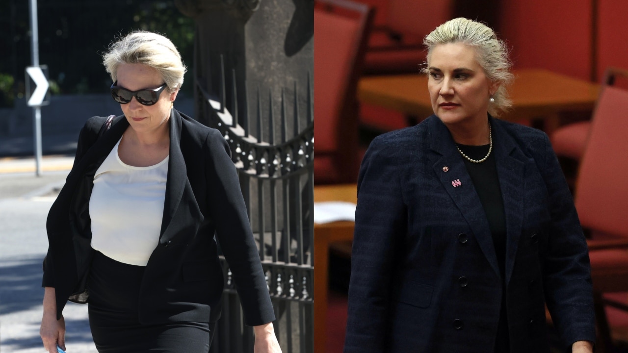 Liberal Senator Hollie Hughes Says Tanya Plibersek Has ‘her Own Issues ...