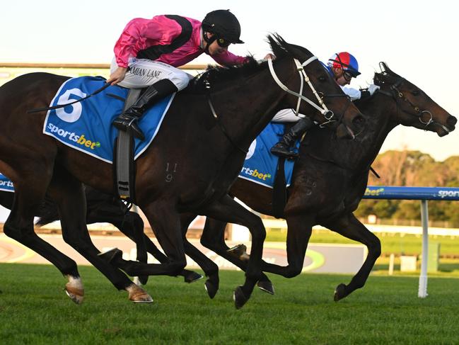 MELBOURNE, AUSTRALIA - MAY 15: Billy Egan riding The Open defeating Damian Lane riding Elouyou in Race 8, the Sportsbet Same Race Multi Handicap during Melbourne Racing at Sandown Hillside on May 15, 2024 in Melbourne, Australia. (Photo by Vince Caligiuri/Getty Images)