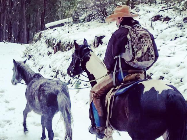 East Gippsland horse breaker Lewis Benedetti catches brumbies in Victoria’s high country so they are not killed.