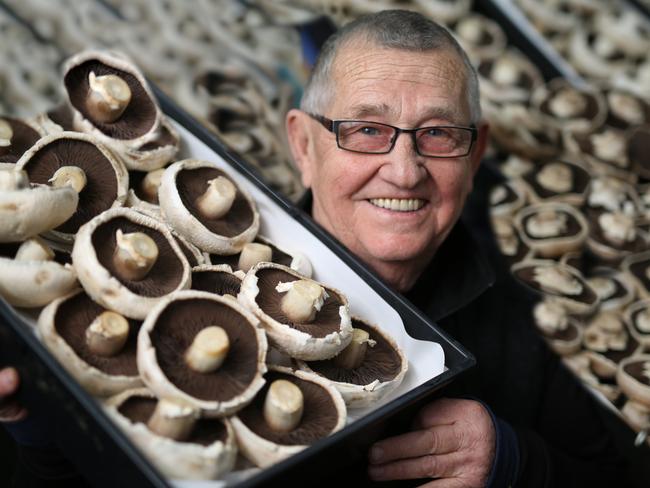 Damian Pike is the Mushroom Man at Prahran Market. He is celebrating 30 years at the market in August. Picture: Stuart Milligan