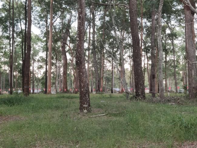 The site of Woombah Woods Caravan Park.