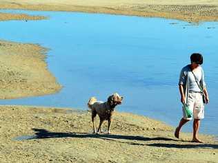 NOT ON: Noosa dog owners are to have dog registration fines waived. Picture: Geoff Potter