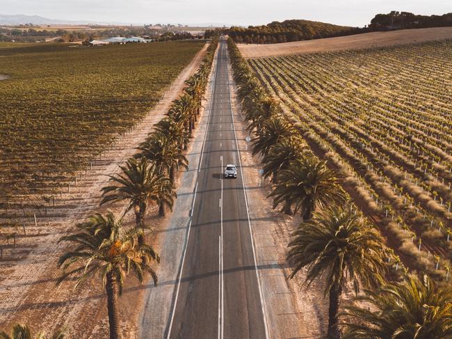 SATC - Barossa - Car, Drive, Scenic, Scenery, Road Trip, Nature, Winery, Vines, Vineyard, Primary