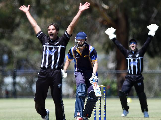 Premier Cricket: Ringwood versus Camberwell Magpies at Russell Lucas Oval, Jubilee Park, Ringwood. Magpie bowler W. Walker (14) and keeper McManus appeal but batsman N. Walsh is safe.