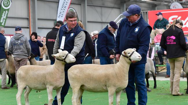 The line-ups at Bendigo. Picture: Zoe Phillips