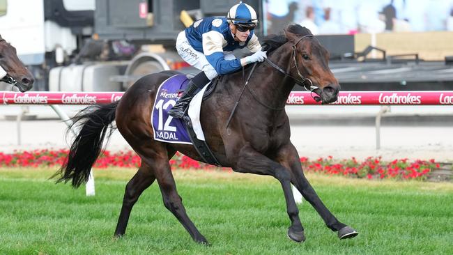 Nadal is chasing The Meteorite and Supernova double at Pakenham on Saturday. Photo: Scott Barbour/Getty Images.