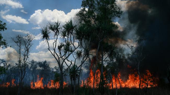 Heavy rainfall has encouraged above-average grass growth that will worsen fire risk over warmer months. Picture: Glen Campbell