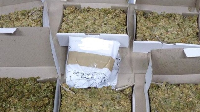 Packages of cannabis found in Booker and Suri-Tucker’s possession. Picture: SA Police.