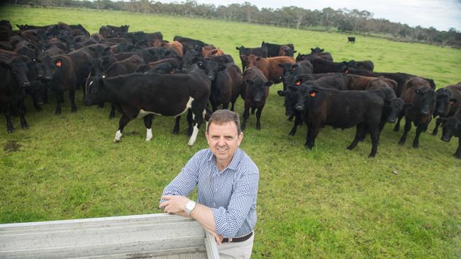 MacKillop MP Nick McBride wants border controls eased. Picture: Tom Huntley