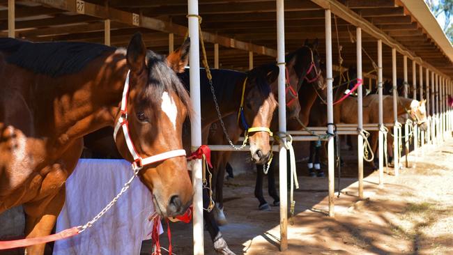 More than 40 gallopers faced the starters over six races.