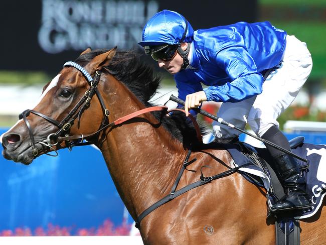 International spread grows for Cox Plate, Caulfield Cup as new trainers ...