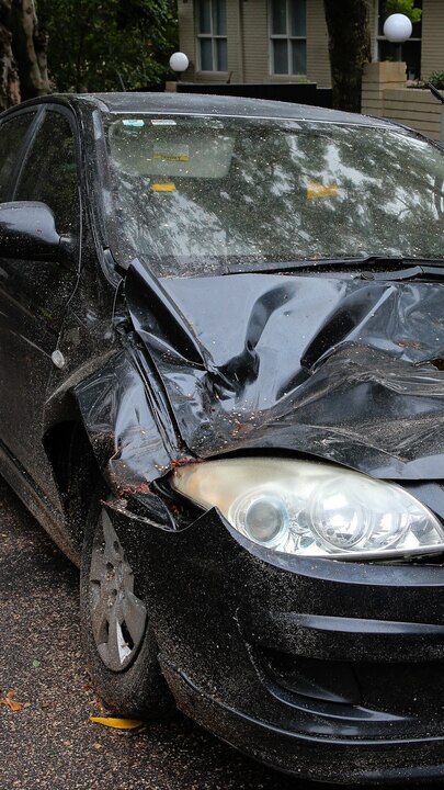 Tree smashes car in eastern suburbs